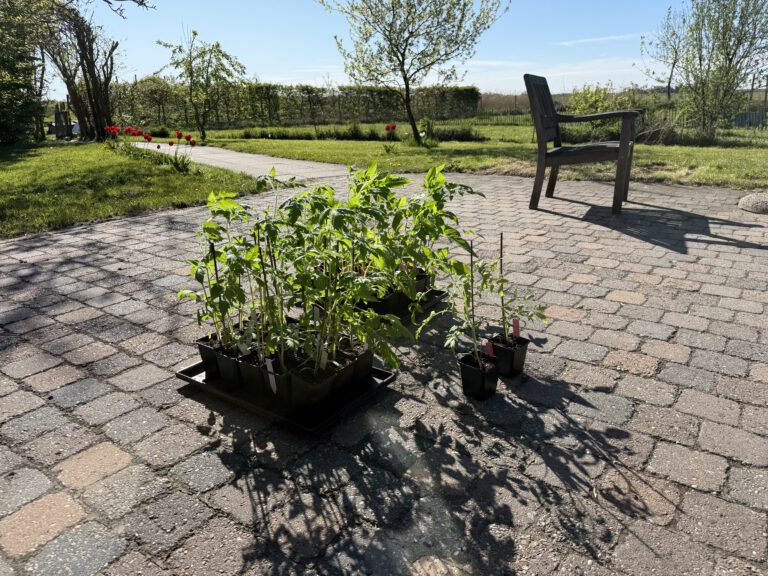 Der Frühling ist da!